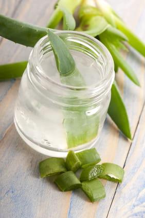 aloes_35282538_XS.jpg