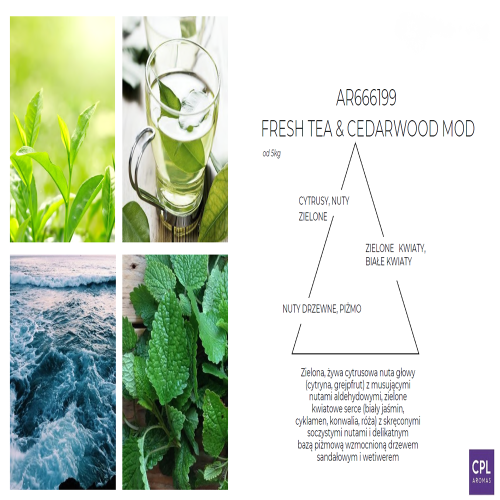 freshteakw.png